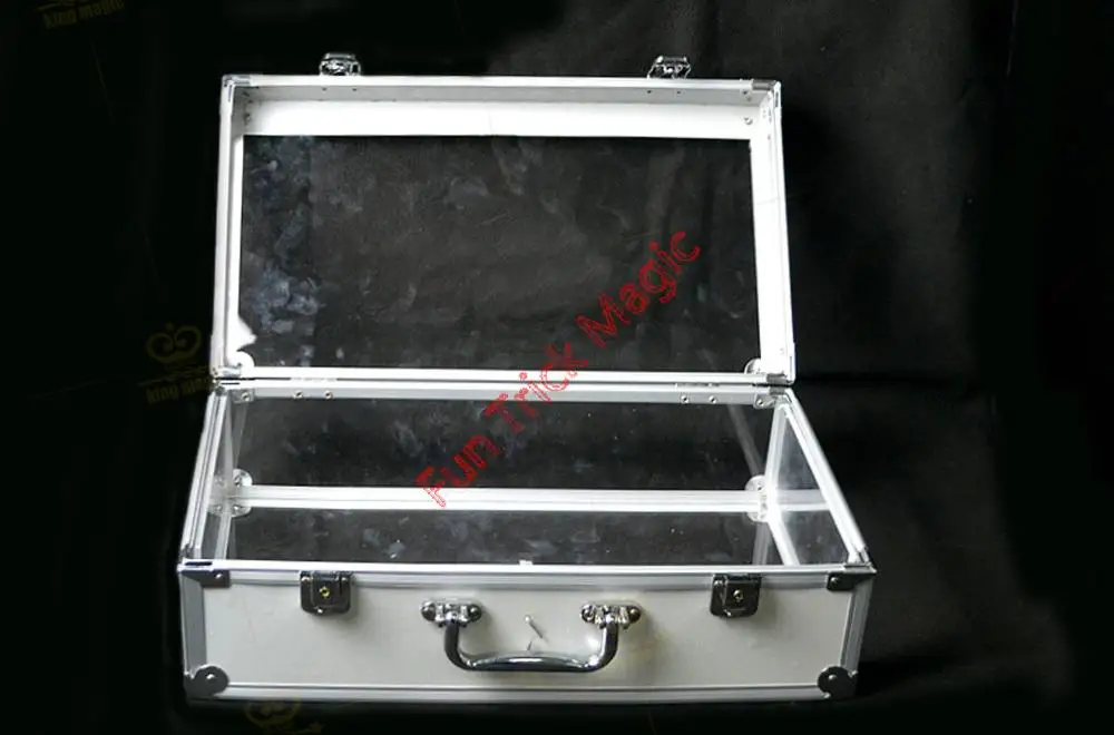 Crystal Money Carrying Case Magic Trick , Stage Magic Magic Tricks