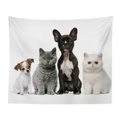Фоновая ткань подзор гобелены настенный cutu животных кошка и собака спальня гостиная одеяло Йога Пляжные полотенца скатерть