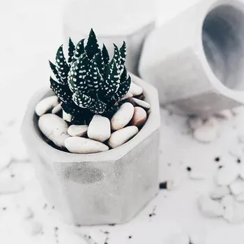 

Mini Concrete Pot Mold Silicone Candle Holder Mold Succulent Flower Pot Mold Garden Planter Pot Mold Gypsum Plaster Silicone Mol
