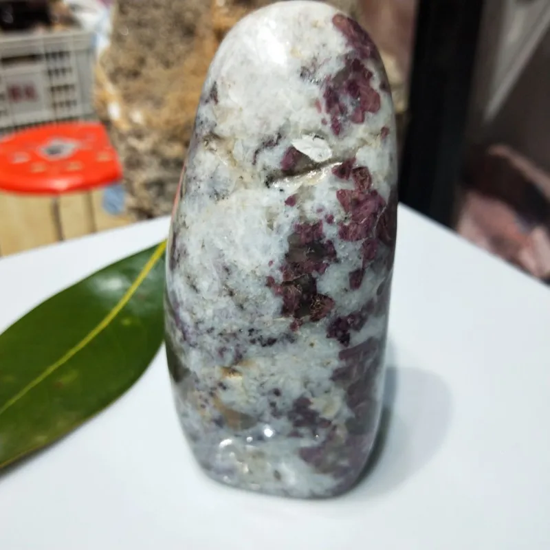 conew_img20190309160634