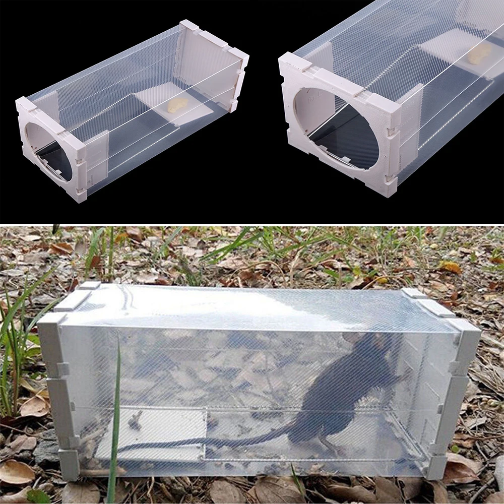 

Strong-Catch Rat Cage Mice Rodent Animal Control Bait Hamster Mouse Trap Humane Bottle DA