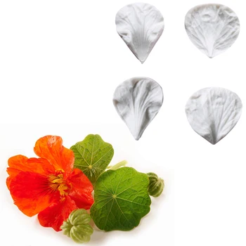 

Nasturtium and Leaf Silicone Mold Fondant Mould Cake Decorating Tools Chocolate Gumpaste Mold, Sugarcraft, Kitchen Accessories