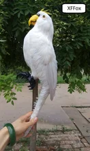 big real life white parrot model plastic&feather simulation parrot bird gift about 43cm xf0139 big wings parrot toy plastic