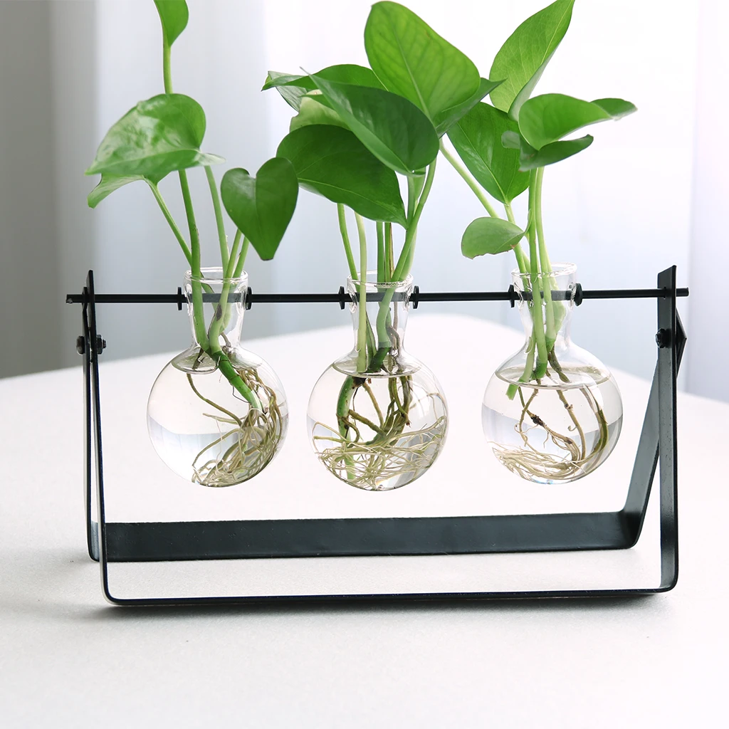 

Vintage Ball Shape Glass Flower Vase Hydroponic Bottle Terrarium with Iron Stand for Home Office Tabletop Decorations