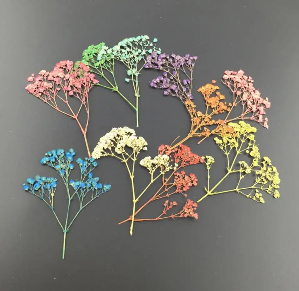 

100pcs Mini Pressed Dried Gypsophila Flower For Wedding Party Home Pendant Necklace Craft DIY Bouquet Accessories