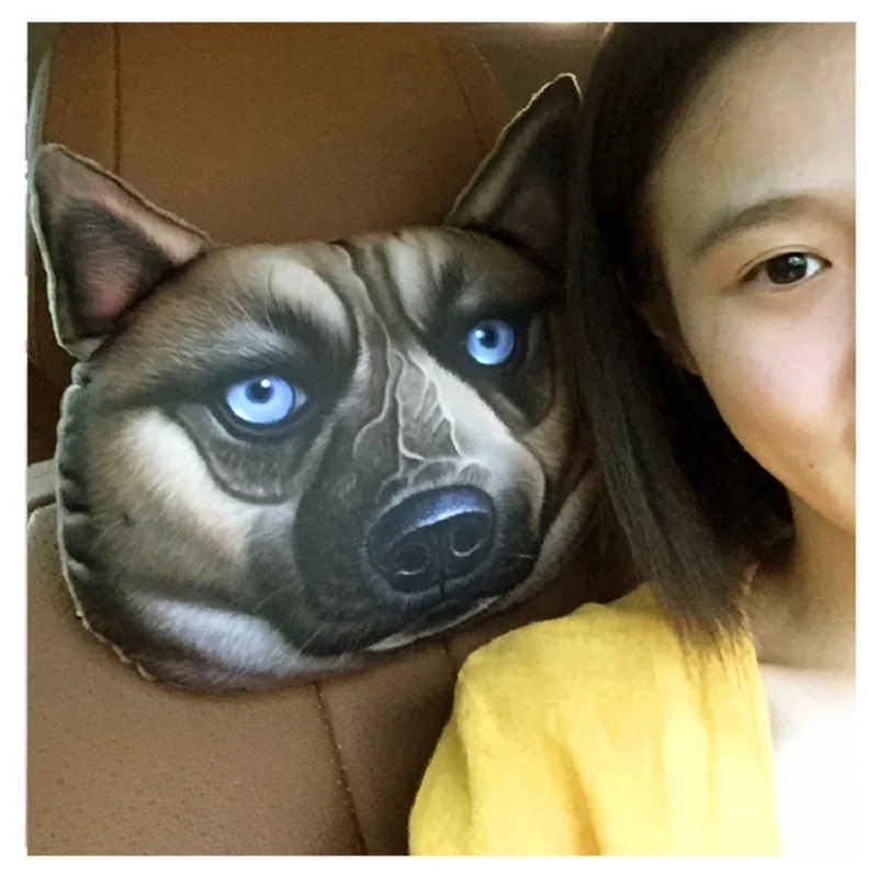 3427110275_226949168