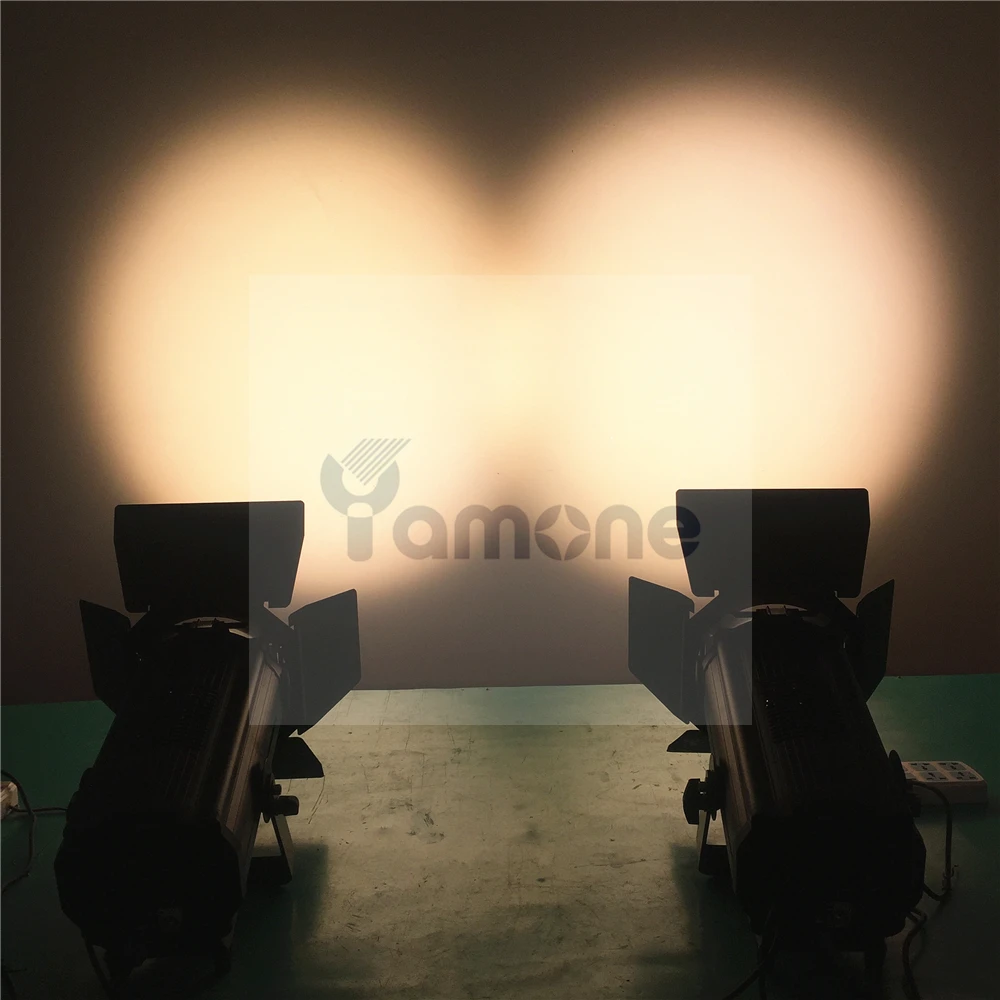 LED Fresnel 31