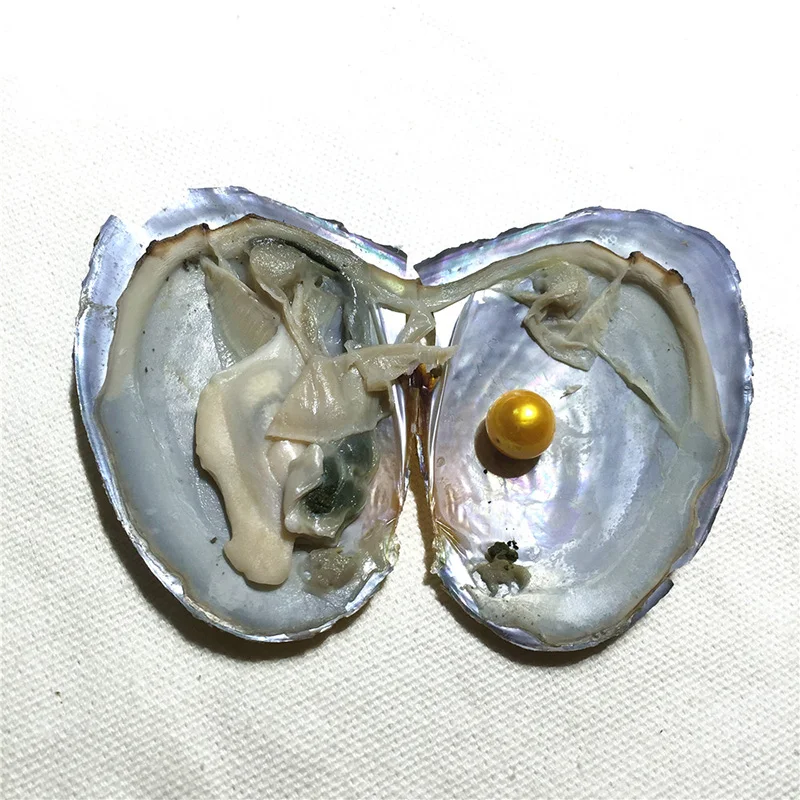 a-1 (2)