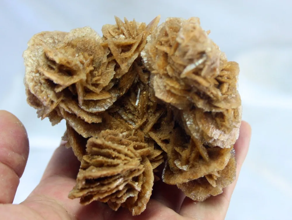 (298g) Natural Desert rose Crystal Cluster Specimen