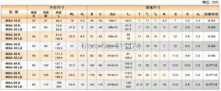 MSA-E  MSA-LE PMI Linear rail and bearing.jpg