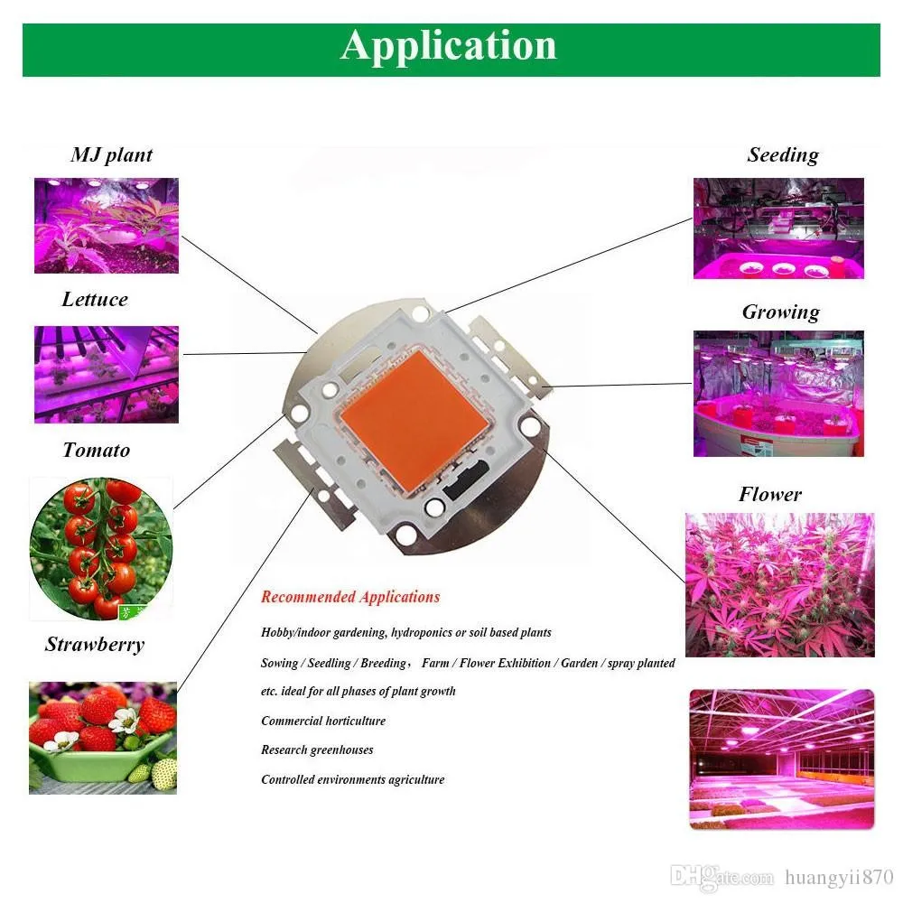 Led Grow Light полный спектр 100 Вт Красный Синий Белый УФ ИК водонепроницаемый Наружное