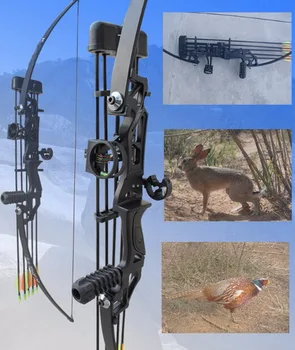 

Outdoor straight pull bows and arrows, hunting bow and arrow, hunting special bow