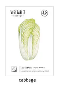 EZONE растительный липкий блокнот для заметок цветная капуста горох гриб планировщик наклейки канцелярские товары офисные принадлежности подарок - Цвет: Cabbage