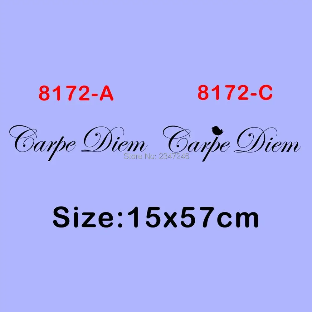 8172 size