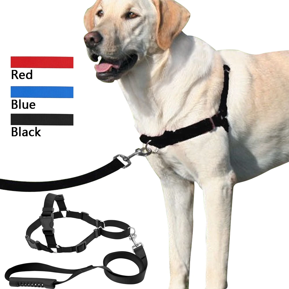 No Pull Dog Harness and Leash Set Front Pet Harness Gentle Leads For