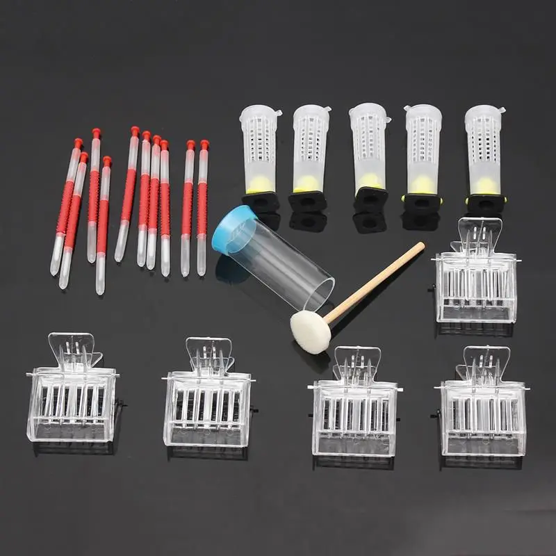 

Beekeeping Tools Kits Moving Grafting Shift Needle Bee Clips Hive Queen Larva Rearing Feeding Equipment Apiculture Supplier