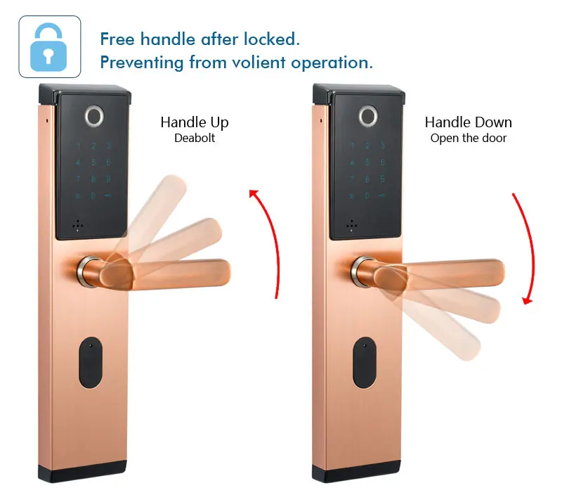 CYPATLIC электронный биометрический дверной замок без ключа, биометрический дверной замок/Пароль/карты/ключи для дома