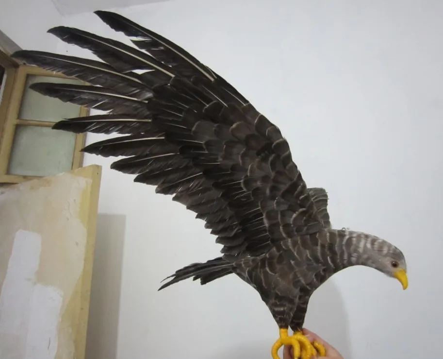 

simulation bird large 50x75cm eagle bird model toy craft,photography,teaching props,home decoration a1923