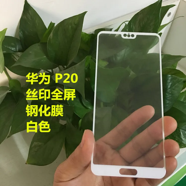 8652725196_2055327119