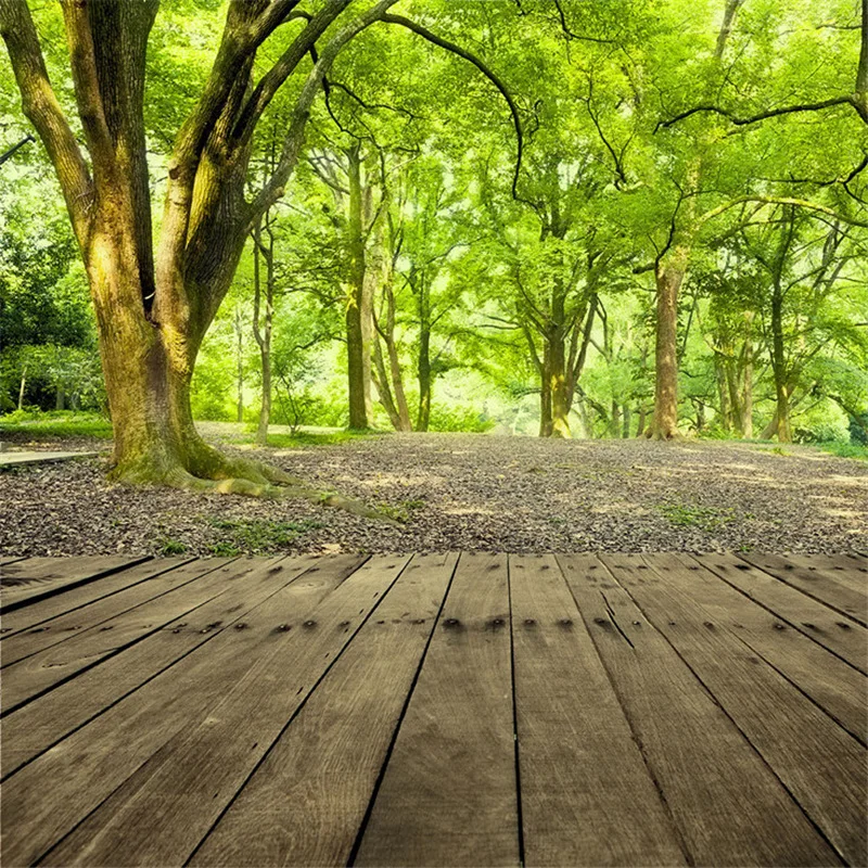 Thin Vinyl Backdrops High Quality Forest Scenic Style Stage Photography Backdrops Cheap photo