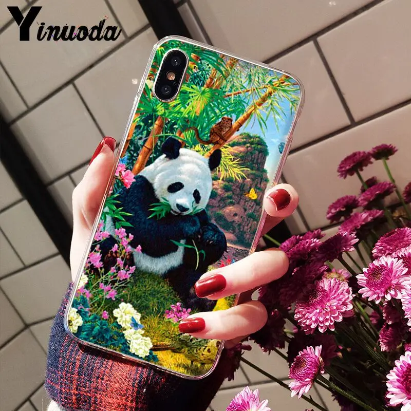 cute panda