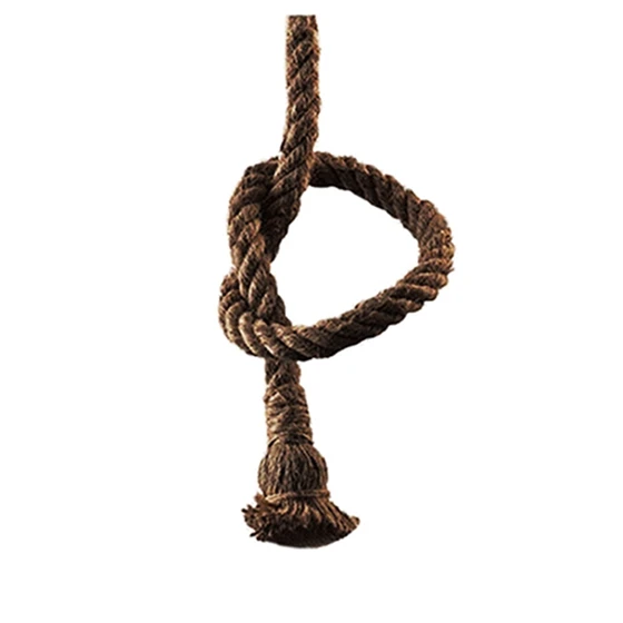 

American village restaurant Coffee Museum creative personality retro handmade decorative rope Chandelier Brown (Single head 2M)
