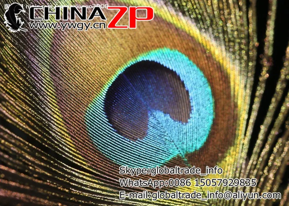 20087383912816_2