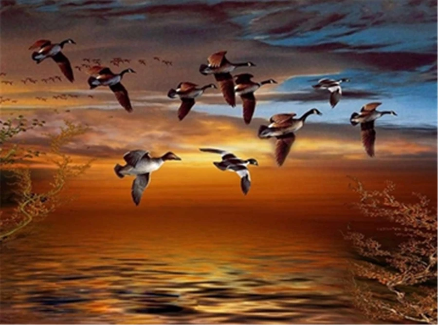 HTB1woXqwHuWBuNjSszgq6z8jVXaQ