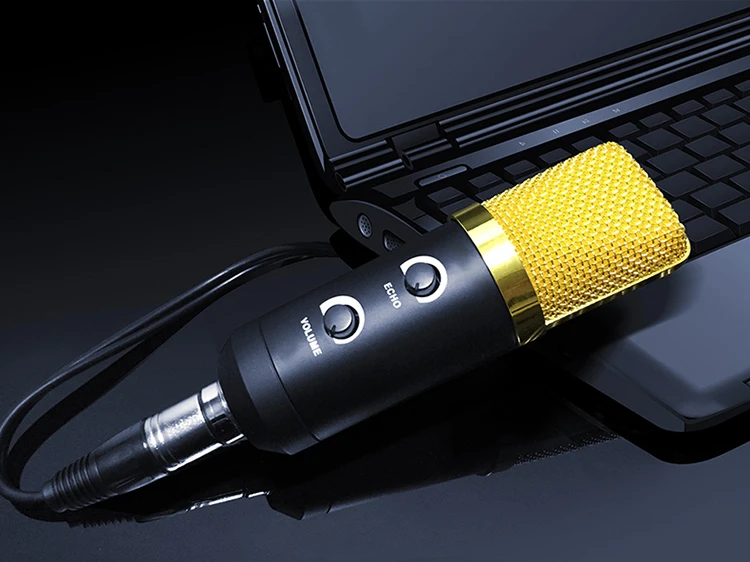 MK F100TL Condenser Microphone 1