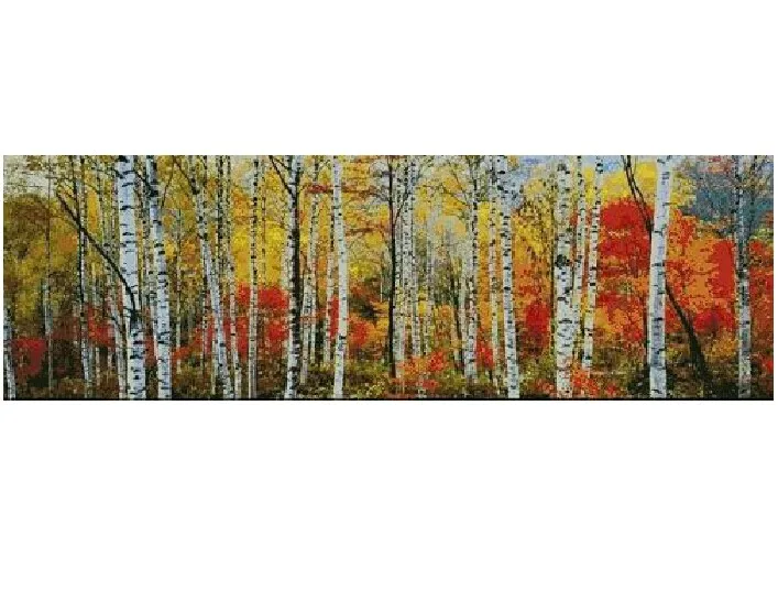 

Embroidery Package Best Quality Cross Stitch Kits Unopen New Luxurious In Late Autumn of Birches Trees Forest Free shipping