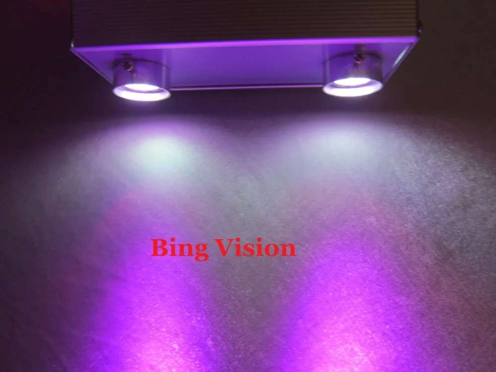 

fiber optic Star ceiling kit,800 pcs 0.75mm PMMA otptic fiber 5m long +2x5w light engine with remote six color twinkle effect