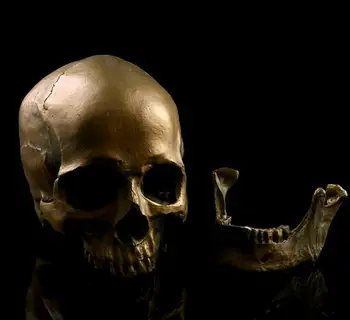 

1:1 resin skull and skull handicraft personality setting foreign trade supply office setting gifts