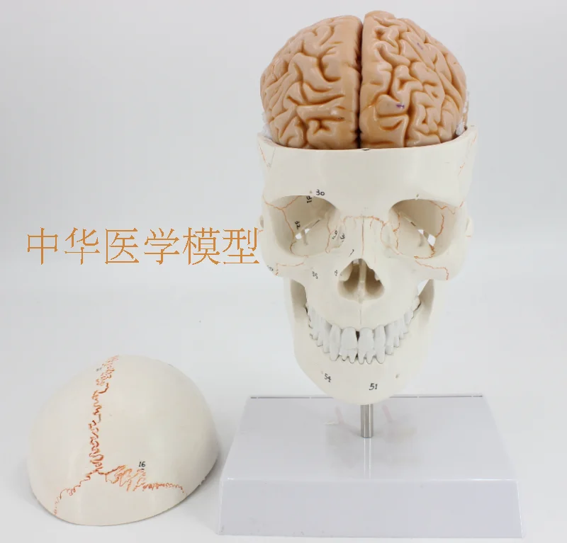 //img.alicdn.com/imgextra/i4/403496940/TB2nRC0aSVmpuFjSZFFXXcZApXa_!!403496940.png