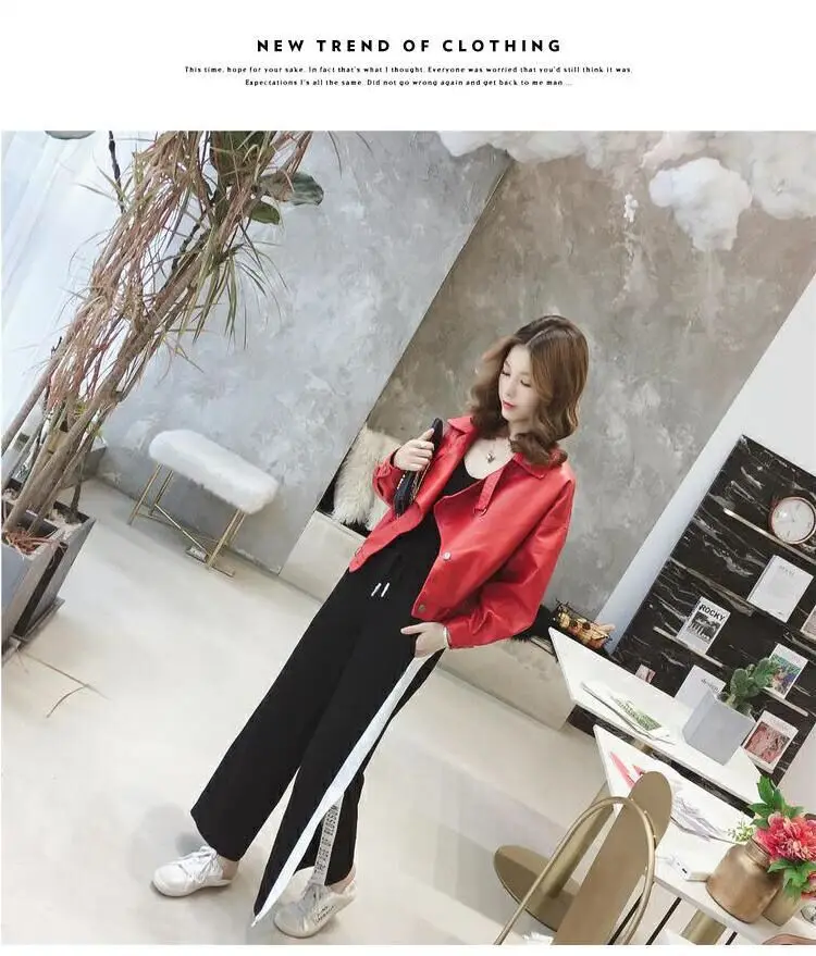 QQ20190112124819