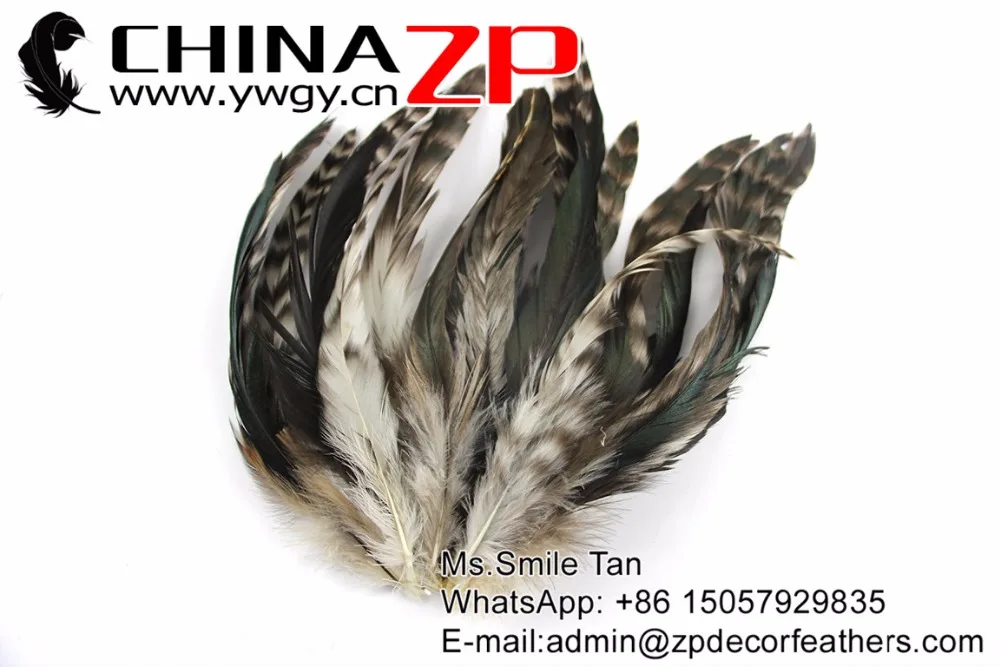 girazzly Rooster Coque Feathers (3)