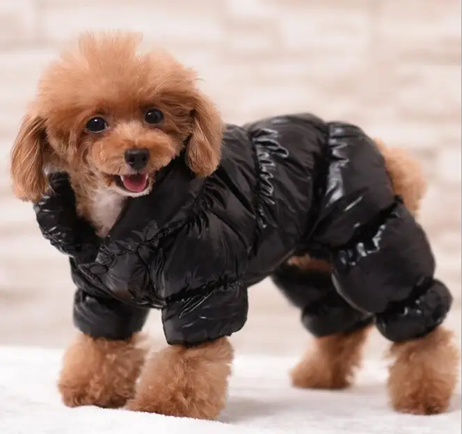 2016 New Arrival Winter Pet Clothes Dog Down Coat Puffy Jacket for