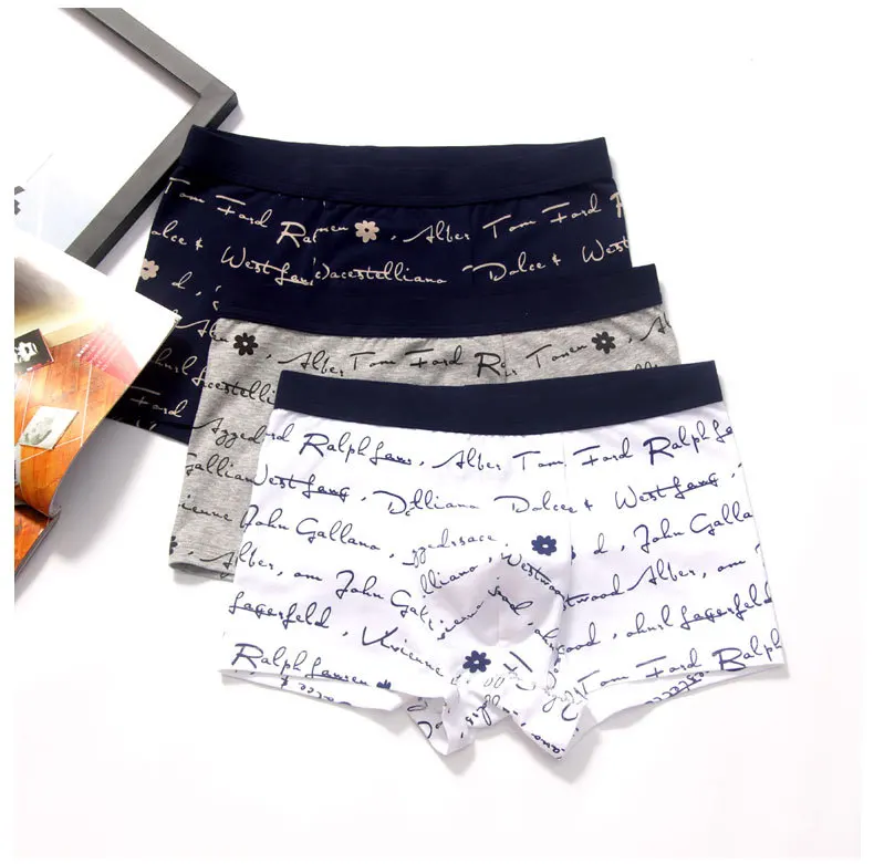 Cause Boxer Cotton Brands Underwear Men Panties Homme Boxer Shorts 4XL Male Breathable Calzoncillos Underpants Boxer Mens Trunks02