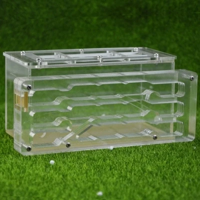 ant-building (1)