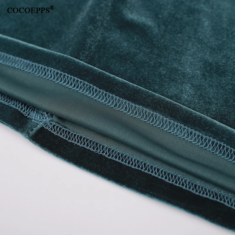 COCOEPPS13