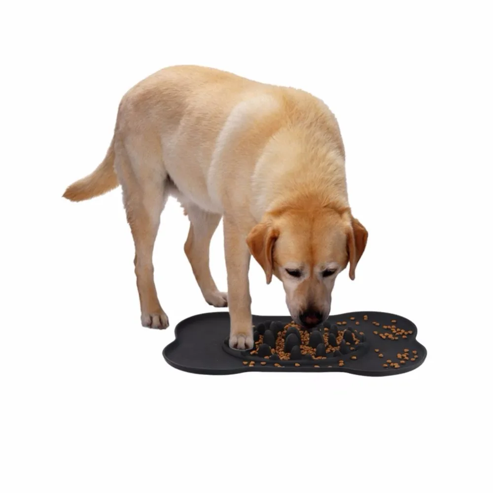 Dogs Eating Out Of Dog Bowls Dogs Eating Out Of Dog Bowls