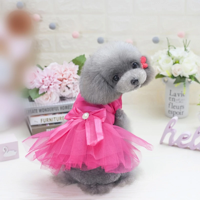 big dog dresses