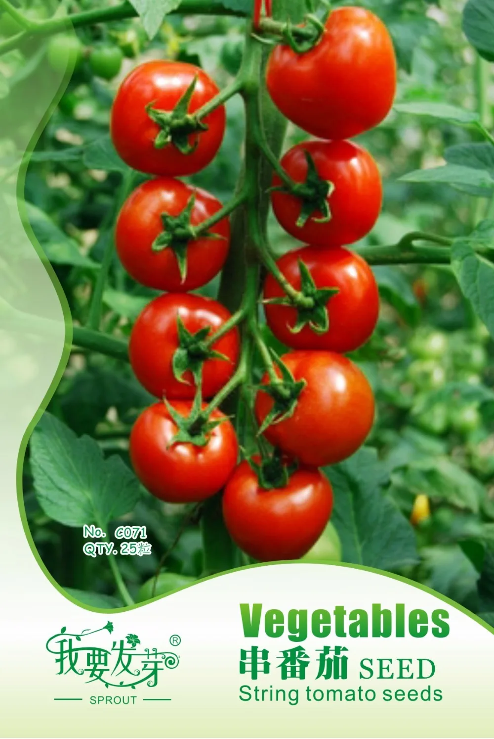 Original Pack 25 Seeds / Pack, tomato Garden Vegetable seeds String