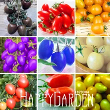 Big Promotion!9 Kinds Of Cherry Tomatoes Seed Fruits Seed Vegetables Potted Bonsai Potted Plant Tomatoes Seeds 100 Seeds/lot,#AG