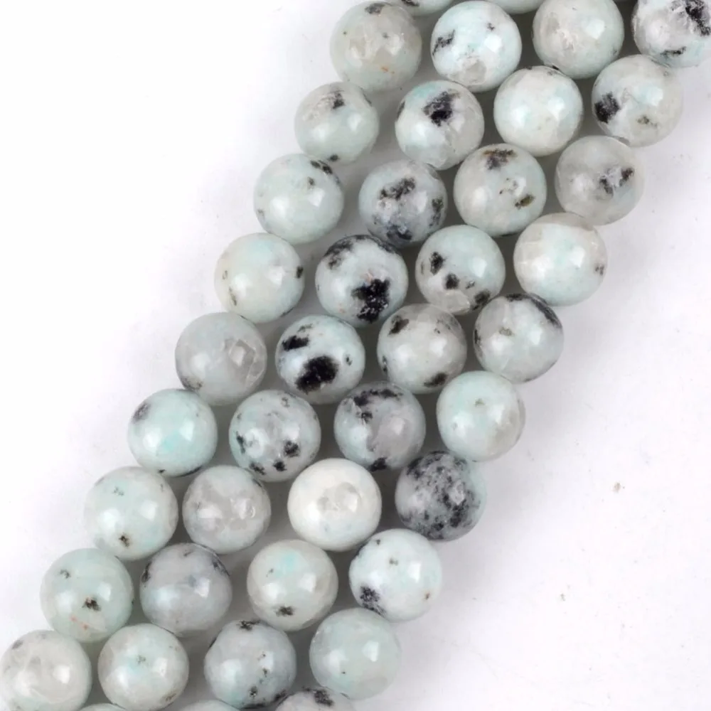 s0084 