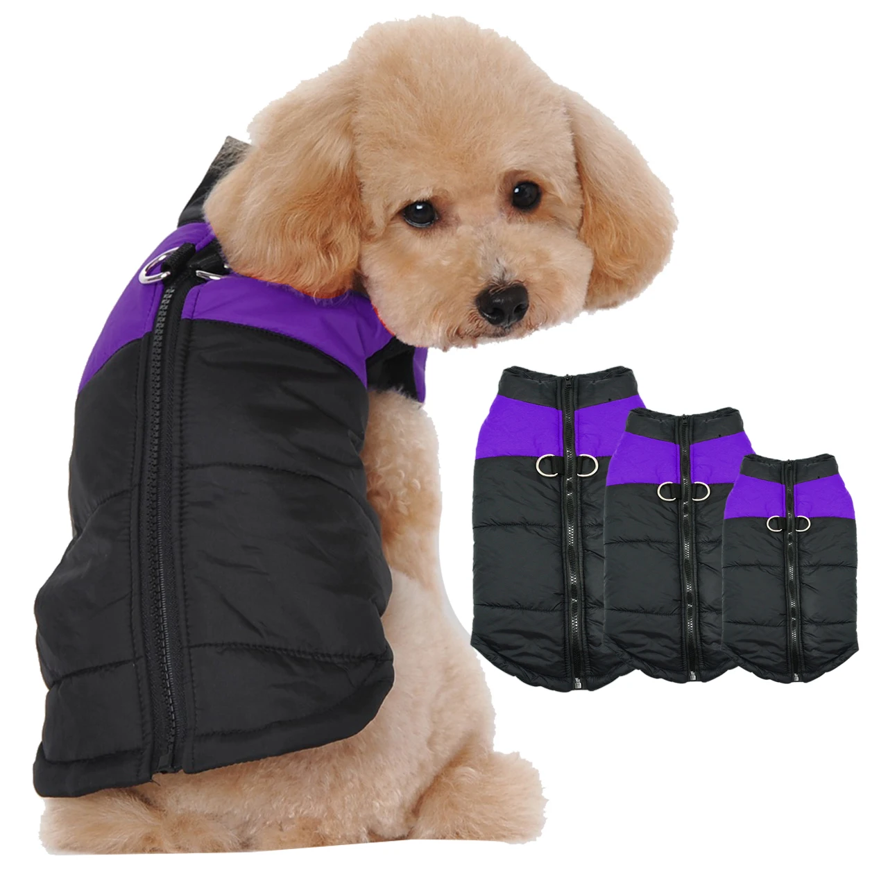Small Dog Waterproof Jackets Small Dog Waterproof Jackets