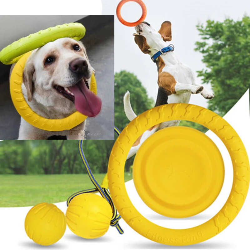 

Fashion EVA Pet Chewing Toy Pull Ring Ball Bone Flying Discs Toy for Cat and Dog Chewing Training Dog Toys Pet Supplies