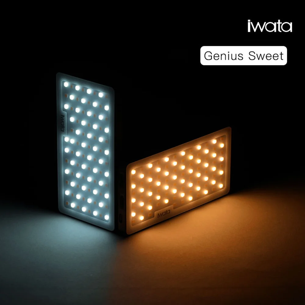  Iwata Mini LED Video Light Bi-Color Portable Fill Light On Camera LED Photography Lighting for DSLR
