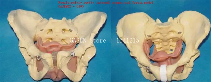 98.GASENCX-0103-1