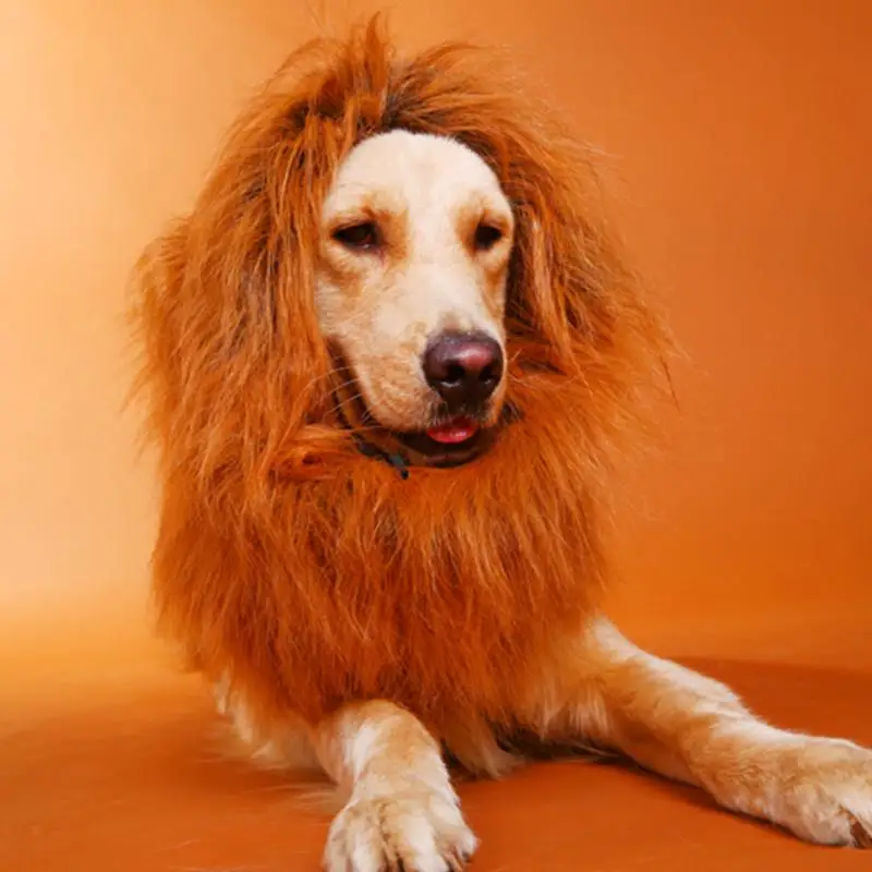 Pet Костюм Собака Lion парики Мане Фестиваль Волос вечернее изящное платье на