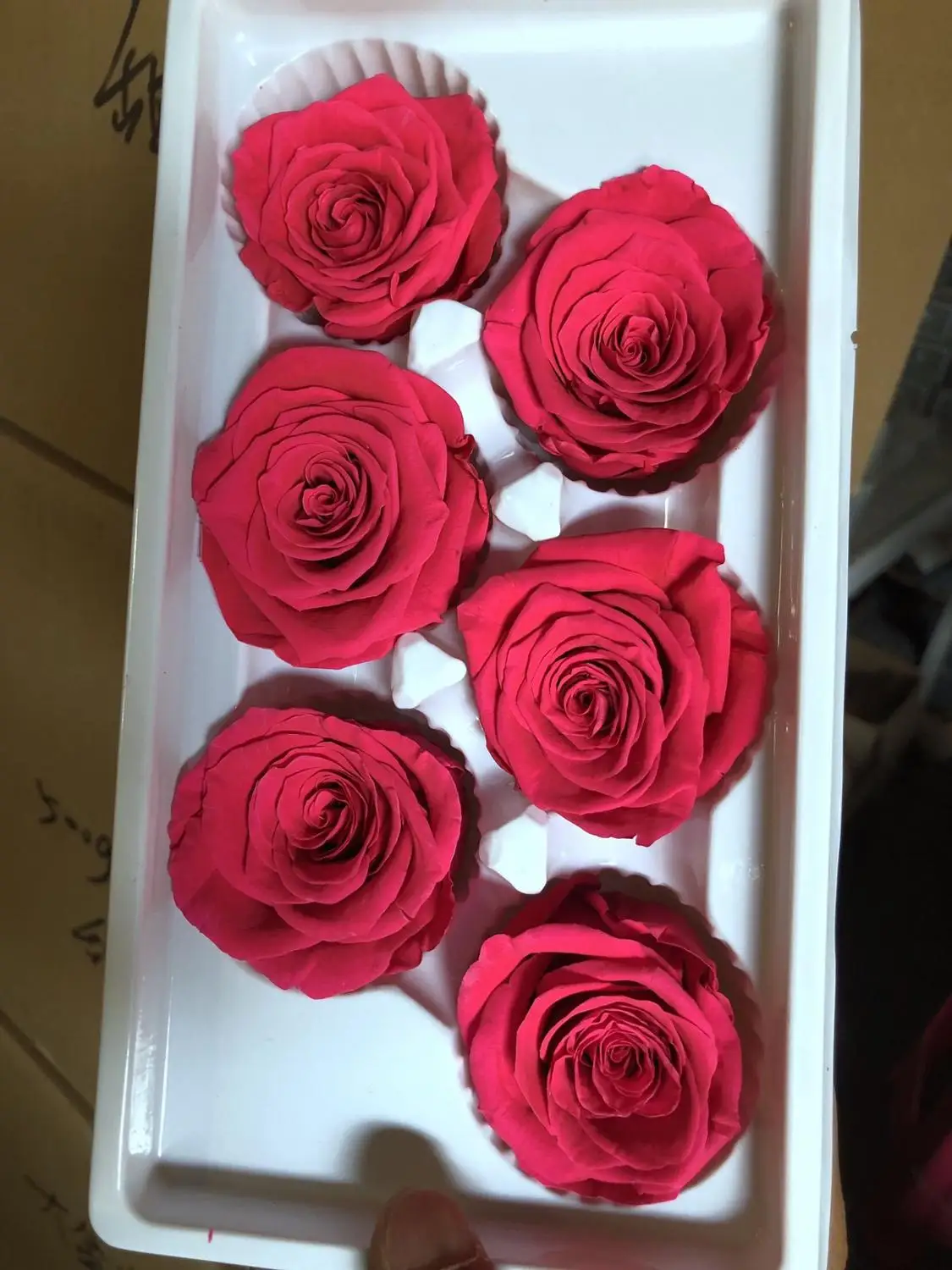 

preserved rose,5-6cm Bright pink dry flower,Gorgeousno dry,6pcs/lot